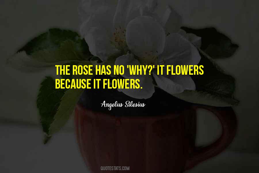 Flowers Rose Quotes #1094295