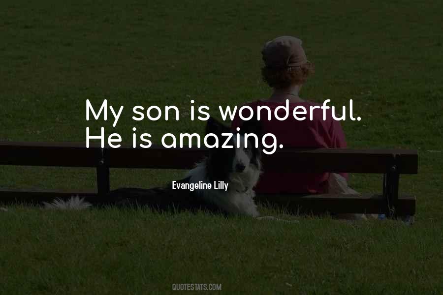You Are A Wonderful Son Quotes #1024901