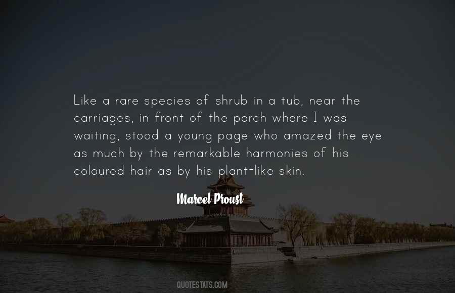 Young Skin Quotes #1658735
