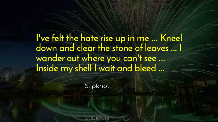 See Inside You Quotes #194818