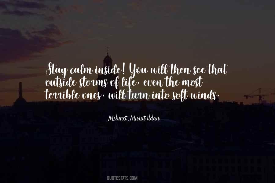 See Inside You Quotes #547989