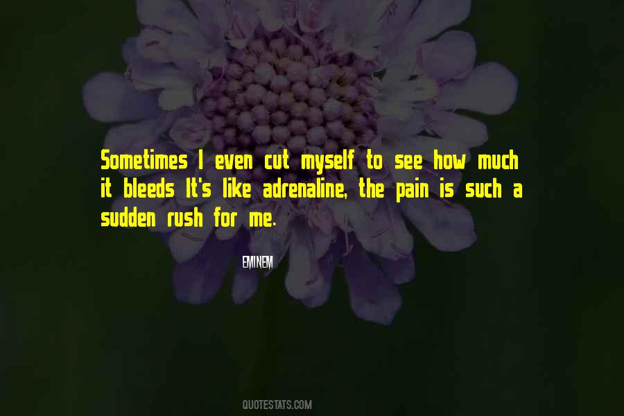Eminem's Quotes #669936