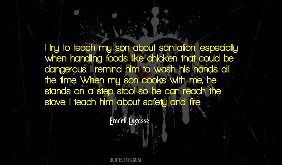 Step Into The Fire Quotes #1255015