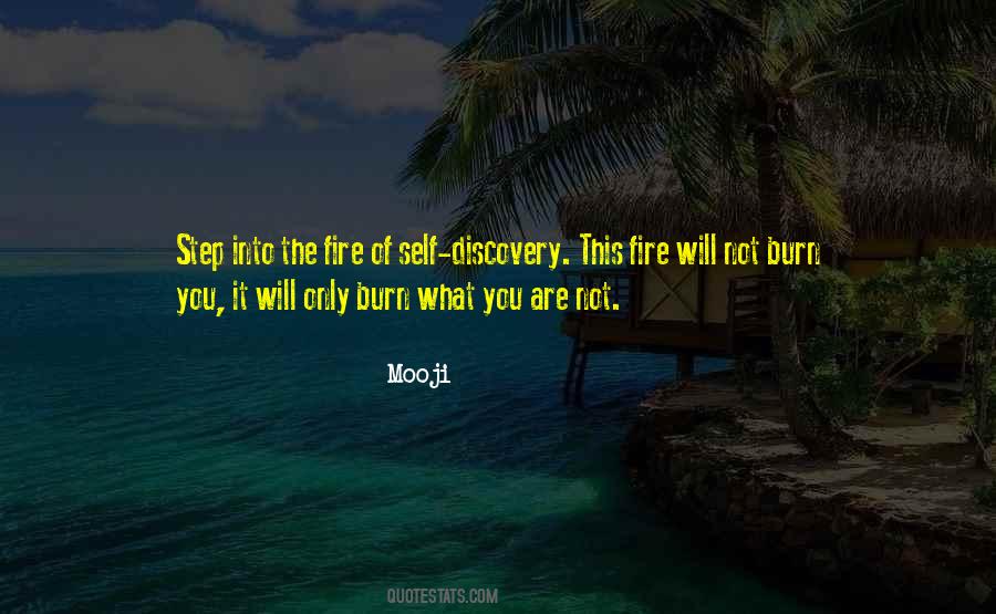 Step Into The Fire Quotes #718511