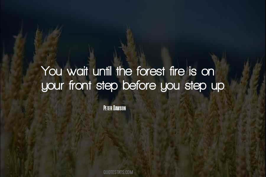 Step Into The Fire Quotes #954990