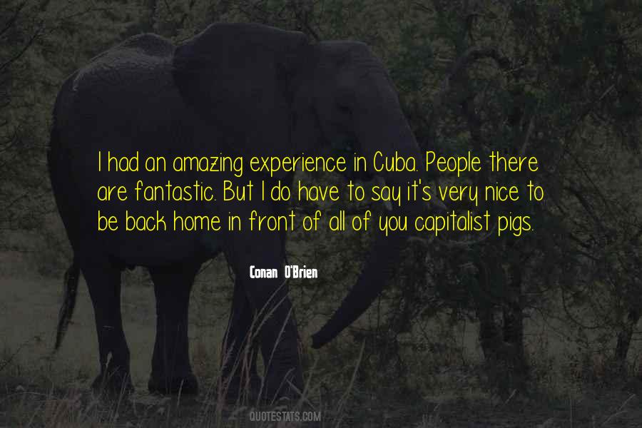 Nice To Be Back Quotes #1234258