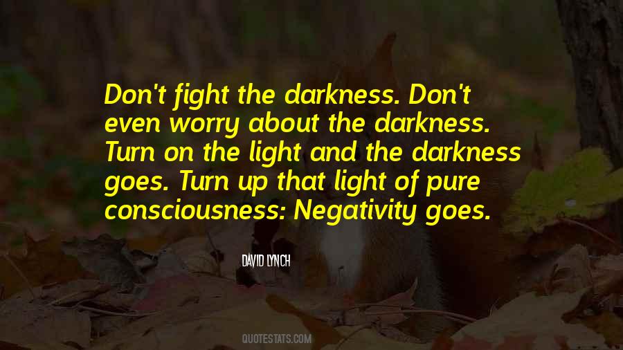 Turn Darkness Into Light Quotes #1407335