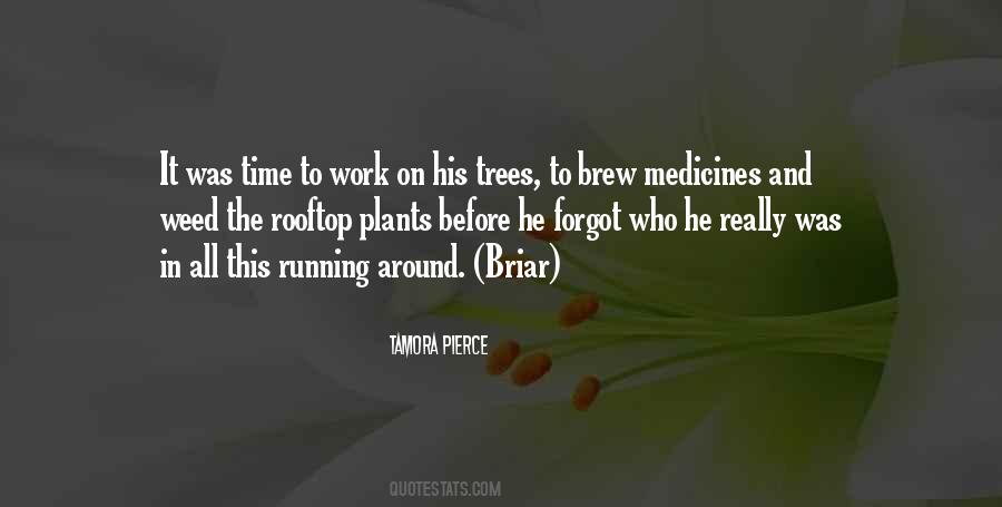 On Plants Quotes #220987