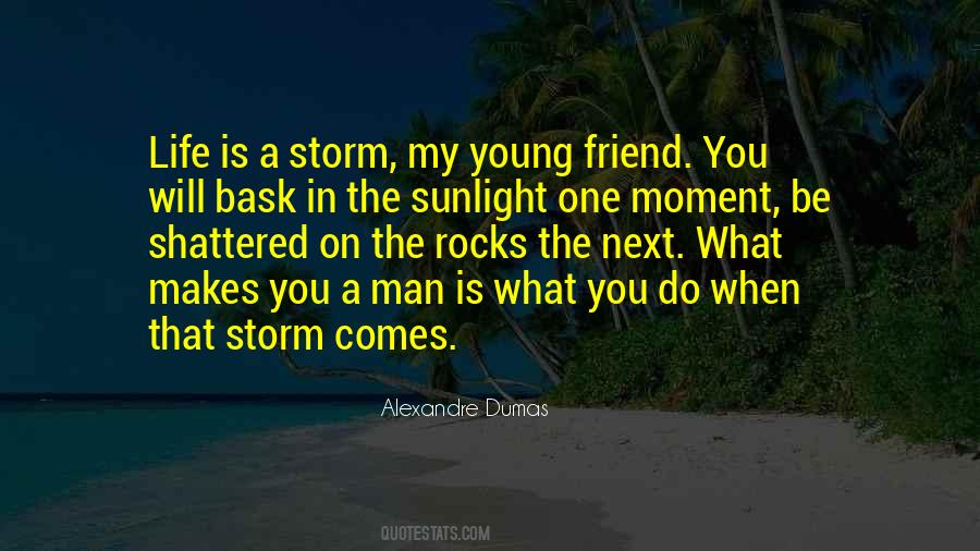 Life Is A Storm Quotes #1134559