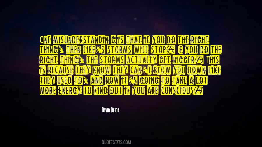 Life Is A Storm Quotes #1371123