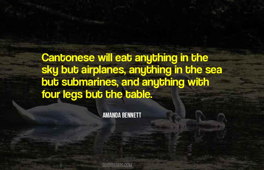 Quotes About The Airplanes #1064256
