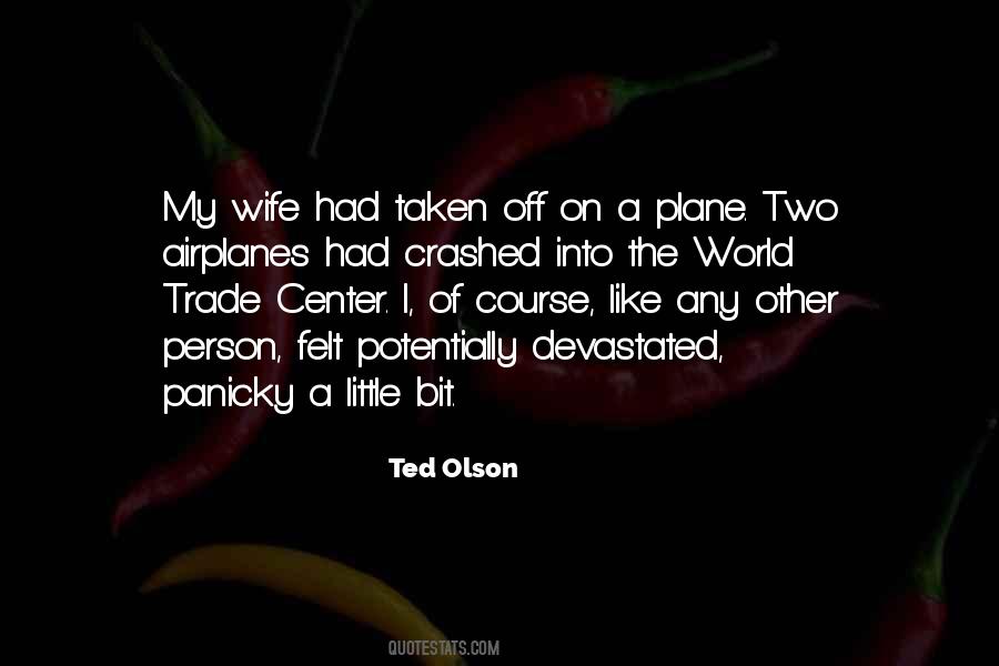 Quotes About The Airplanes #1250117