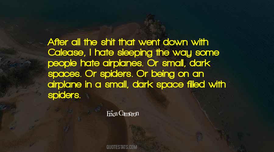 Quotes About The Airplanes #1336966