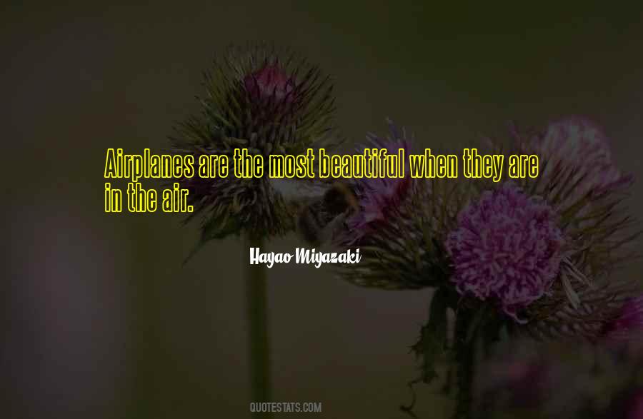 Quotes About The Airplanes #358702