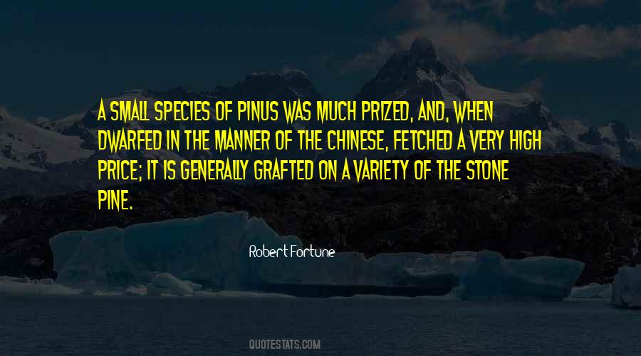 The Stone Quotes #1102805