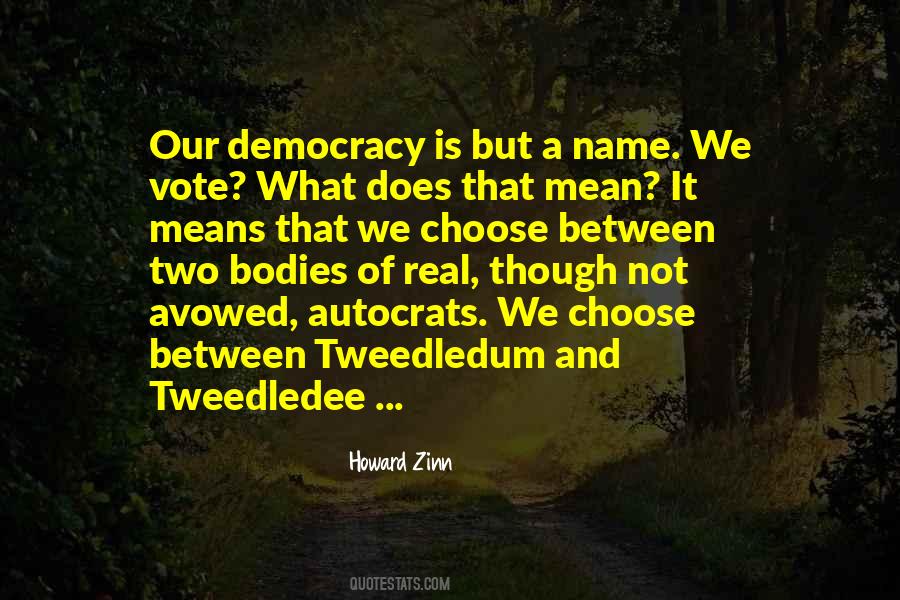 Too Much Democracy Quotes #1682