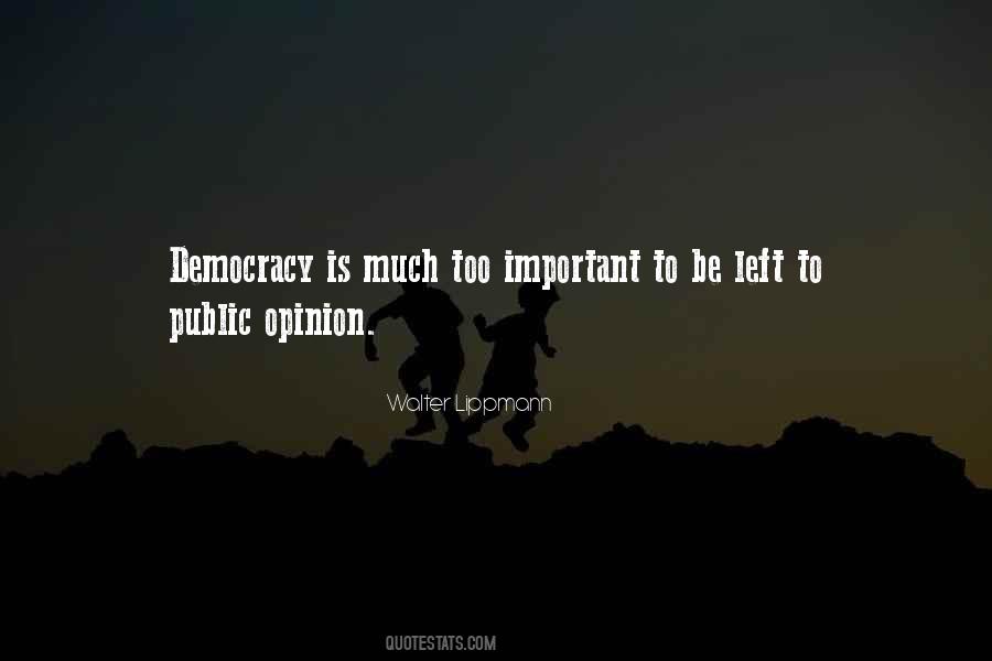 Too Much Democracy Quotes #1696603