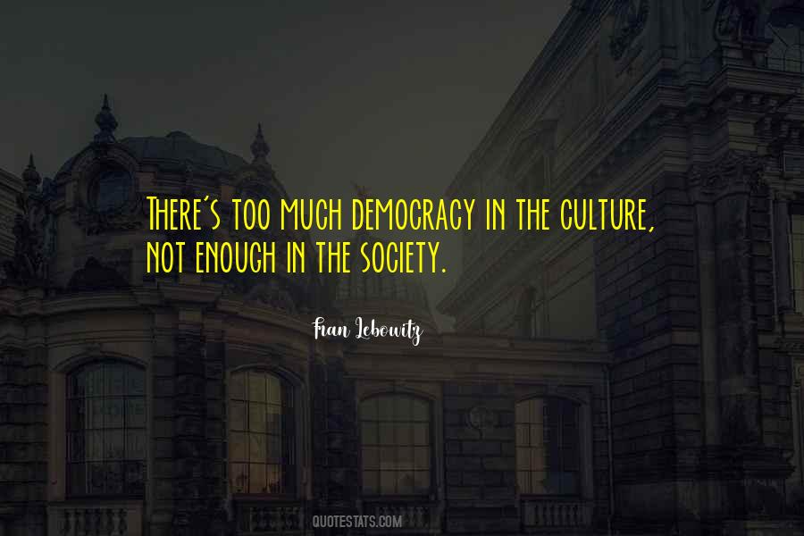 Too Much Democracy Quotes #969388