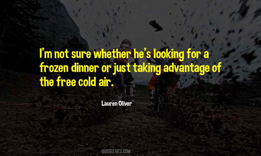 Taking Advantage Of You Quotes #335976