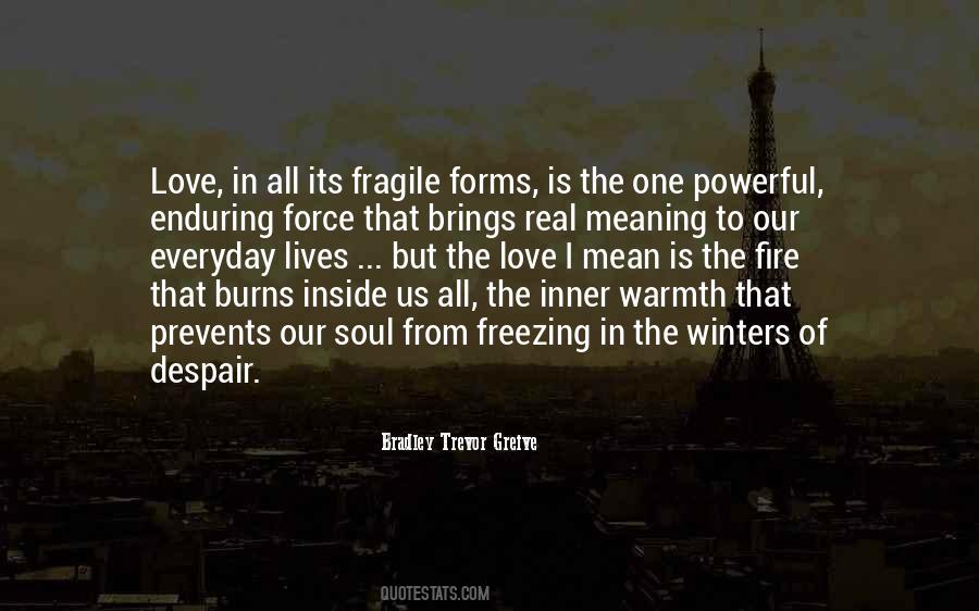 Your Soul On Fire Quotes #322216