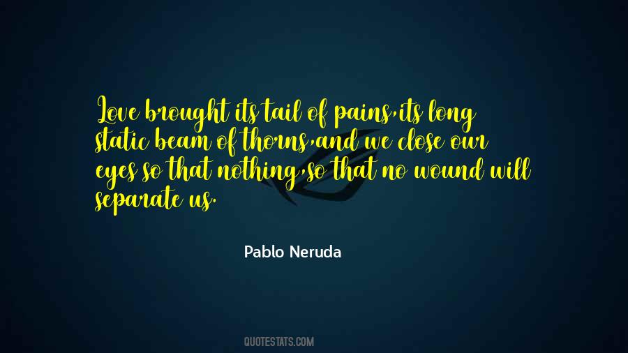 Pains In My Heart Quotes #1442774