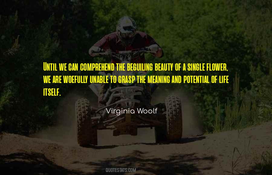 Single Meaning Quotes #957000