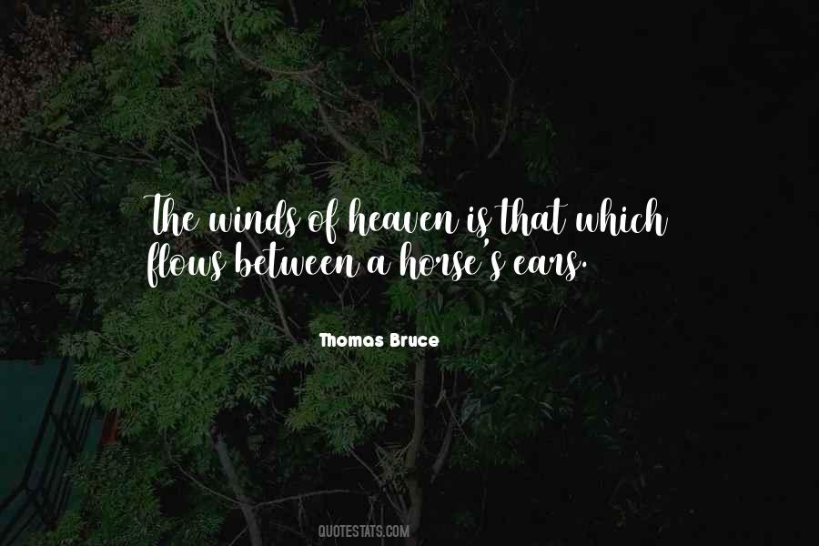 Horse Inspirational Quotes #379068