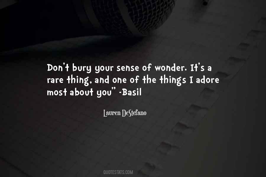 The Sense Of Wonder Quotes #1096748