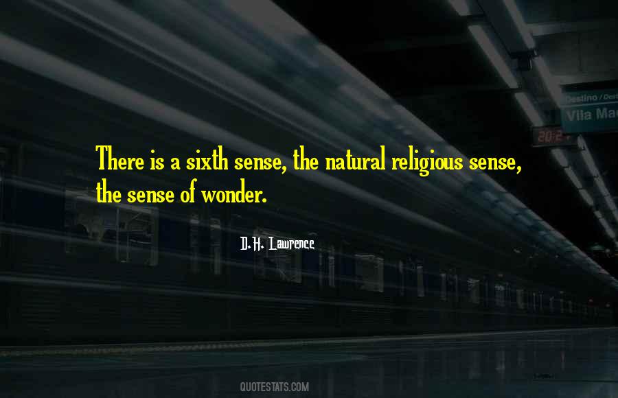 The Sense Of Wonder Quotes #196481