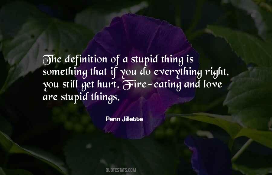 Definition Of Stupid Quotes #335727