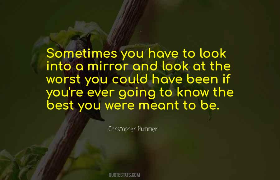 Look Into The Mirror Quotes #1807236