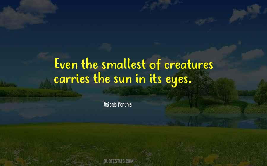 Quotes About The Sun In My Eyes #74595