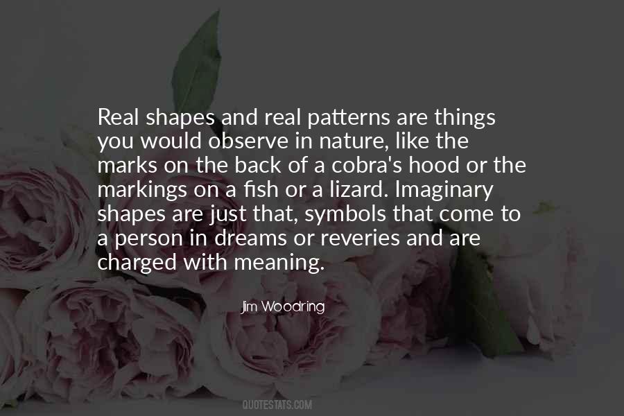 Quotes About Imaginary Things #678576