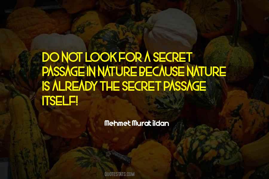 Do Not Look Quotes #498183