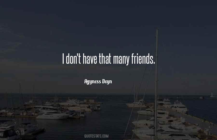 I Have Many Friends Quotes #405944