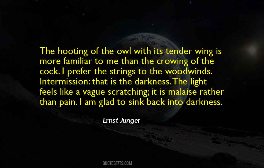I Am A Night Owl Quotes #1564457