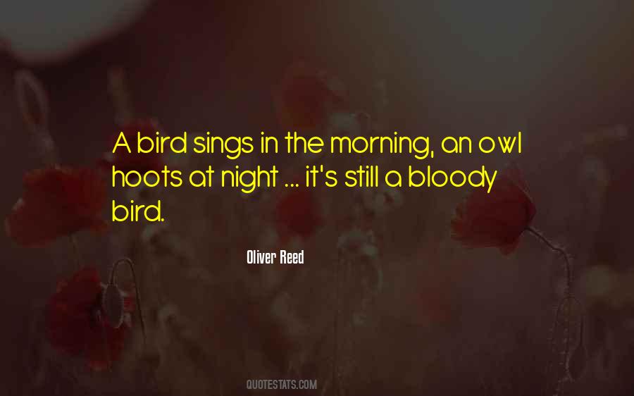 I Am A Night Owl Quotes #197391
