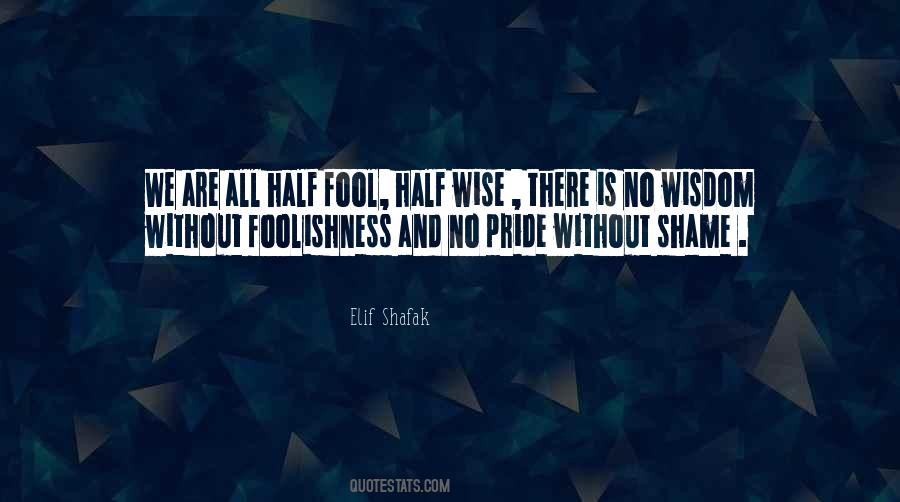 Pride And Shame Quotes #1849697