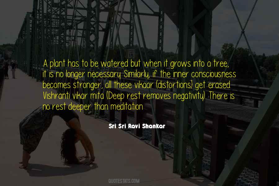 Plant The Tree Quotes #1656185