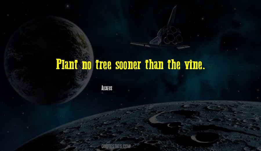 Plant The Tree Quotes #176683