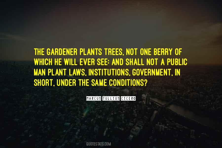 Plant The Tree Quotes #787231