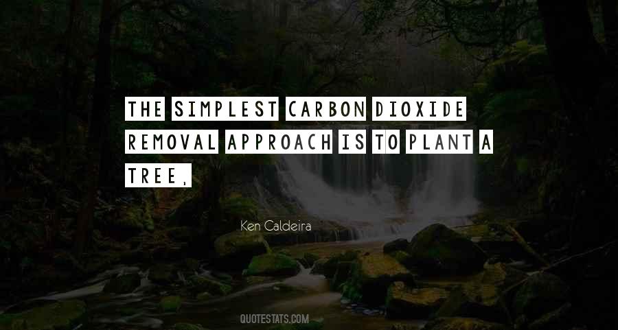 Plant The Tree Quotes #848560