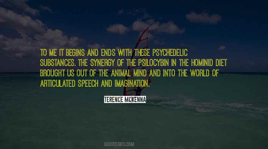 Ends With Us Quotes #334880