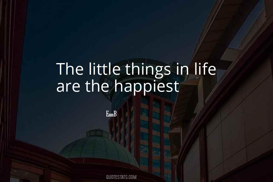 Quotes About The Little Things In Life #667194