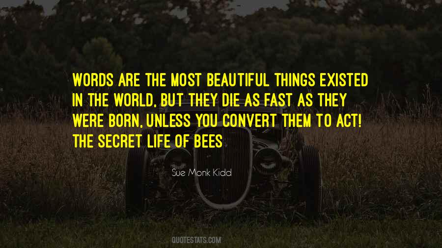 Most Beautiful In The World Quotes #976221