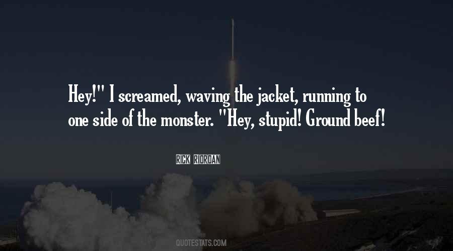 Stupid Running Quotes #1851928