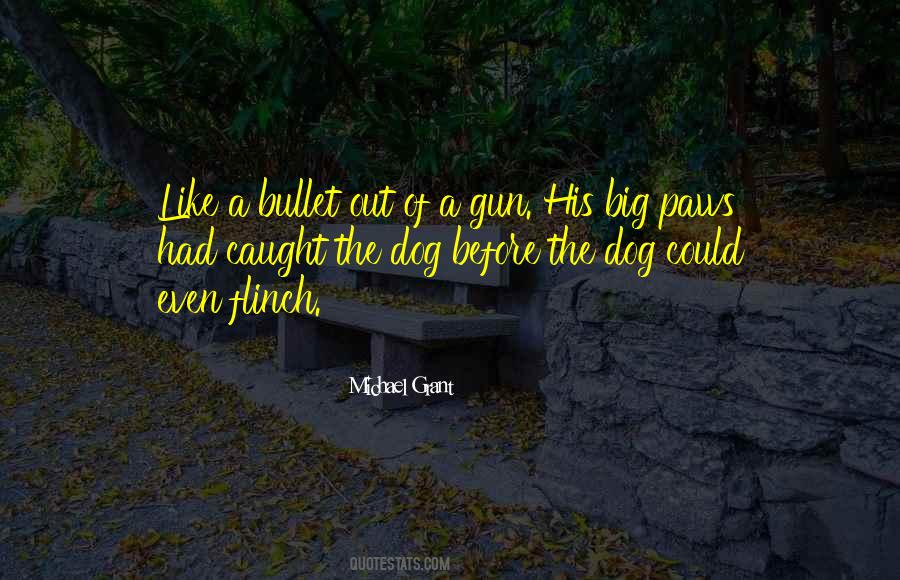 Gun Bullet Quotes #437702