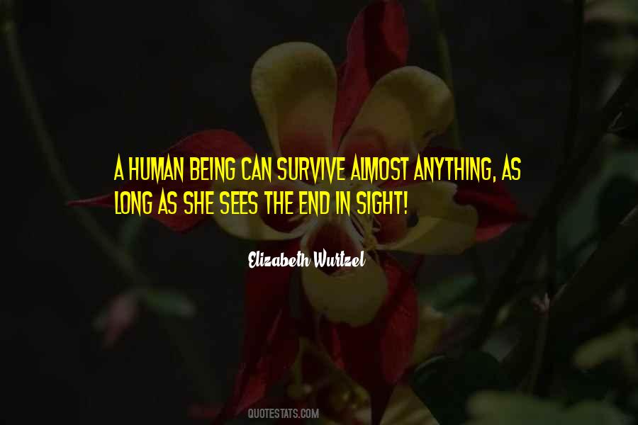 End In Sight Quotes #1321344