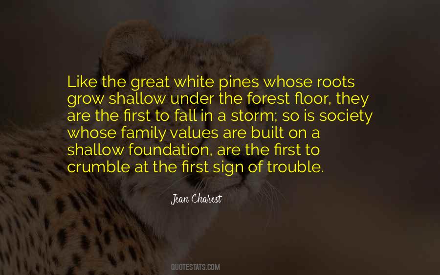 Family Is The Foundation Of Society Quotes #550317