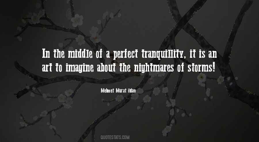 Not Perfect Art Quotes #520261